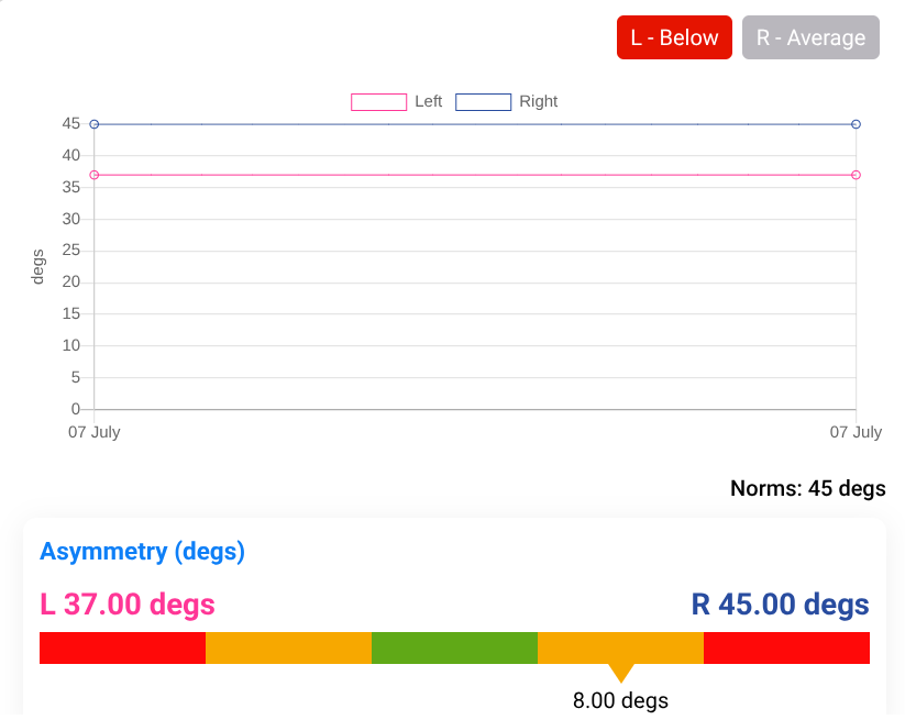 Screenshot 2025-07-22 11.16.37 AM Clinical Movement Assessment