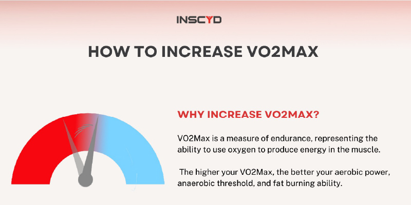 vo2max VO2max